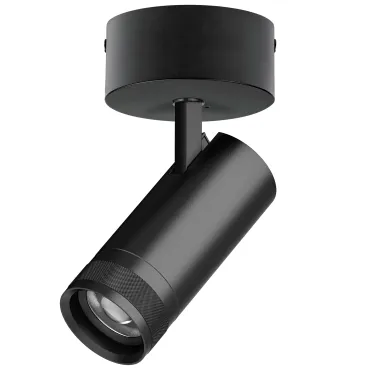 Потолочный светильник с адаптером Lightstar Canno Pro C4207SO