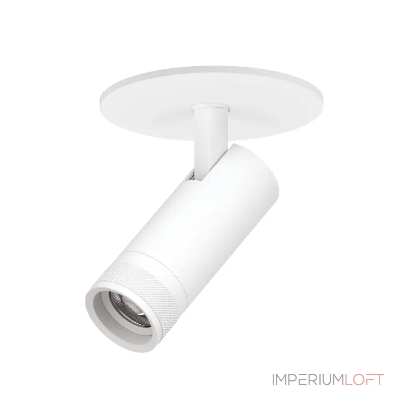 Встраиваемый светильник с адаптером Lightstar Canno Pro C4126RS