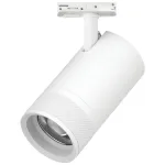 Трековый светильник Lightstar Canno Pro C4406SS