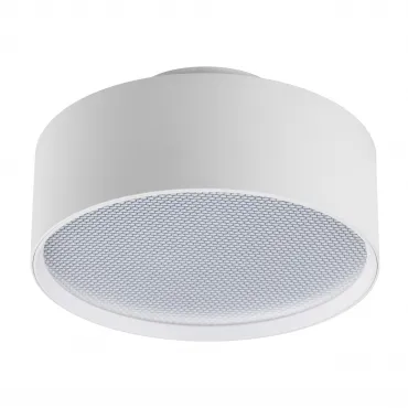Светильник накладной Lightstar Acuto 215946