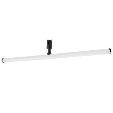 Трековый светильник Lightstar Due Hermes 270547