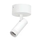 Потолочный светильник с адаптером Lightstar Canno Pro C4126SO