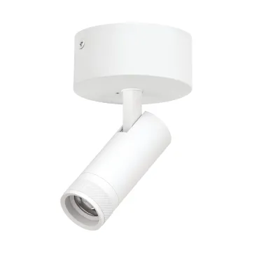 Потолочный светильник с адаптером Lightstar Canno Pro C4126SO