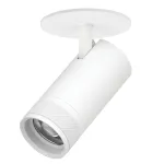 Встраиваемый светильник с адаптером Lightstar Canno Pro C4306RS