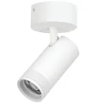 Потолочный светильник с адаптером Lightstar Canno Pro C4306SO