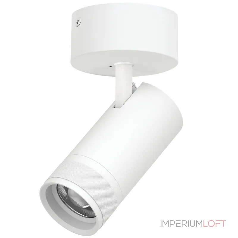 Потолочный светильник с адаптером Lightstar Canno Pro C4306SO