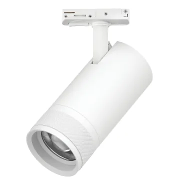 Трековый светильник Lightstar Canno Pro C4306SS