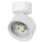 Потолочный светильник Lightstar Alta Pro A5636SO
