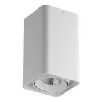 Потолочный точечный светильник Lightstar Monocco 052136
