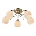 Потолочная люстра Arte Lamp Magdalena A6373PL-5AB