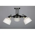 Люстра на штанге Omnilux Zamora OML-28207-03 от ImperiumLoft
