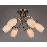 Люстра на штанге Omnilux OM-372 OML-37227-06 от ImperiumLoft