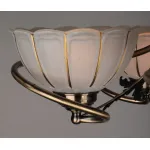 Потолочная люстра Omnilux OM-375 OML-37507-05 от ImperiumLoft