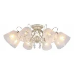 Потолочная люстра Omnilux Orune OML-53007-08
