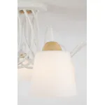 Потолочная люстра Eurosvet 70062 70062/8 белый от ImperiumLoft