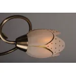 Потолочная люстра Omnilux OM-379 OML-37907-05 от ImperiumLoft