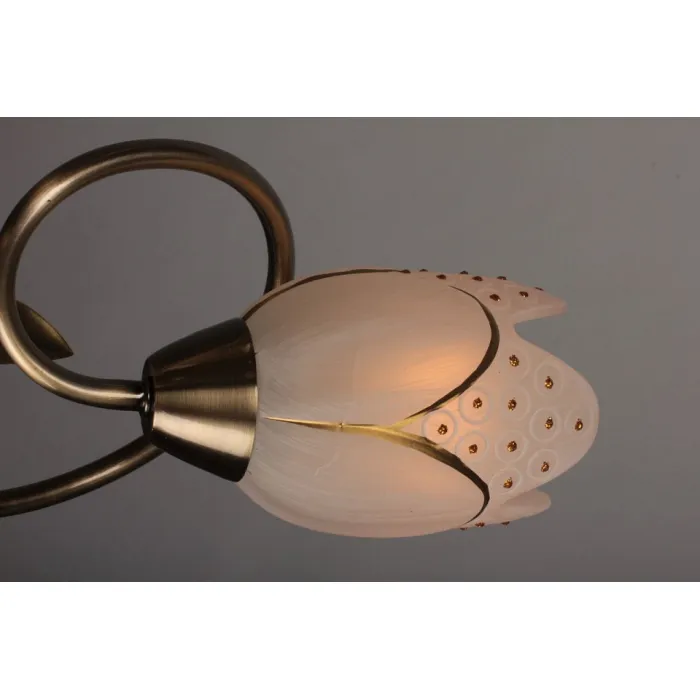 Потолочная люстра Omnilux OM-379 OML-37907-05 от ImperiumLoft
