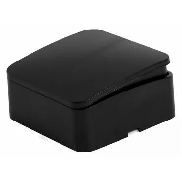 Выключатель двухклавишный Stekker София 49475 Выключатель двухклавишный Stekker София 49475