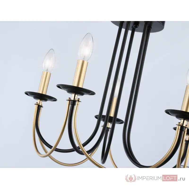 Подвесная люстра со сменной лампой TR9621/5 BK/CGD черный/золото E14/5 max 40W D570*410 от NovaLamp