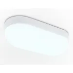 Уличный светодиодный светильник ST8666 WH белый IP65 LED 6500K 20W 220*100*60 от NovaLamp