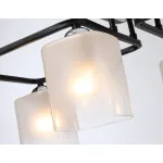 Светильник потолочный TR303222/4 BK/CH/FR черный/хром/белый матовый E27*4 max 60W 530*290*220 от NovaLamp