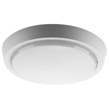 Потолочный светильник Wolta DBO01-20-4K-SOA