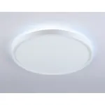 Потолочный светодиодный светильник FZ3001 WH белый IP44 24W+10W 6400+6400К D290*40 (Без ПДУ) от NovaLamp