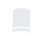 Накладной точечный светильник с акрилом TN3202 SWH белый песок GU5.3 D78*97 от NovaLamp