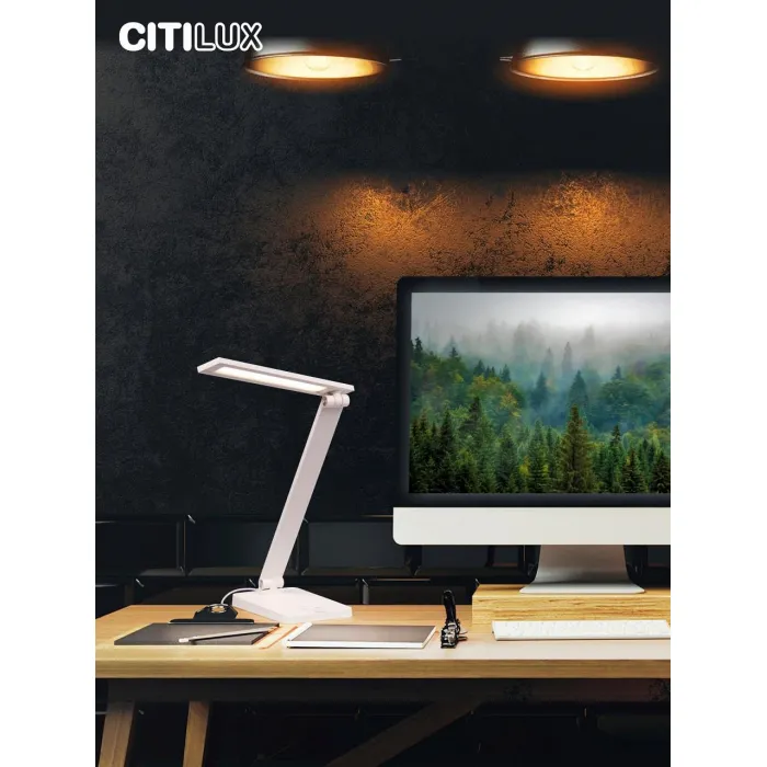 Настольная лампа офисная Citilux Ньютон CL803080 от ImperiumLoft