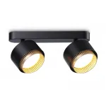 Светильник накладной TN71288/2 BK/GD черный/золото GX53/2 max 12W 270*95*137 от NovaLamp