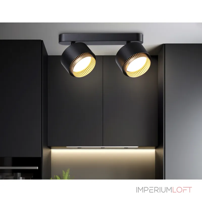 Светильник накладной TN71288/2 BK/GD черный/золото GX53/2 max 12W 270*95*137 от NovaLamp