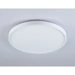Потолочный светодиодный светильник FZ3001 WH белый IP44 24W+10W 6400+6400К D290*40 (Без ПДУ) от NovaLamp