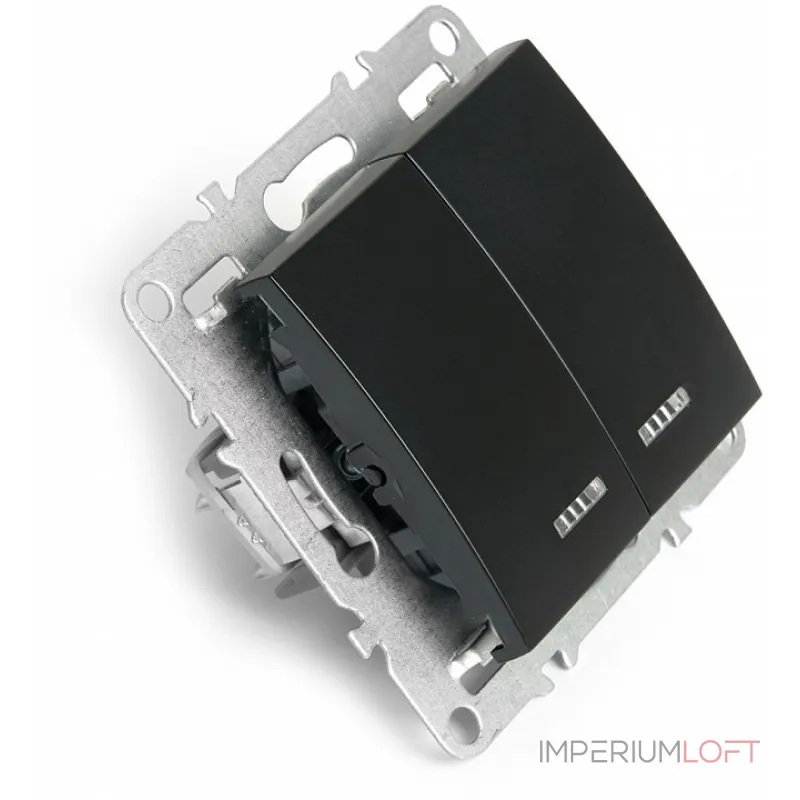 Выключатель двухклавишный с подсветкой без рамки Stekker Эрна 49147 от ImperiumLoft Выключатель двухклавишный с подсветкой без рамки Stekker Эрна 49147 от ImperiumLoft