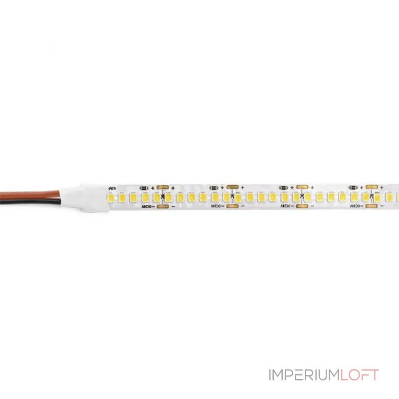 Лента светодиодная Wolta WLS2835-24W/6500/24H240-01