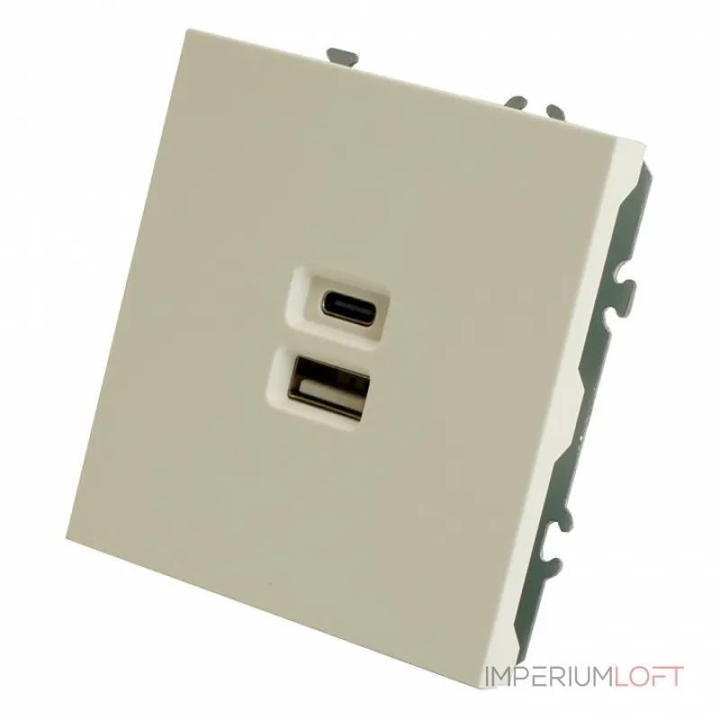 Розетка USB и type C без рамки Stekker RST10-5115-01 49879