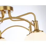 Подвесная люстра TR3212/5 GD/FR золото/белый матовый E27*5 max 40W D560*302 от NovaLamp