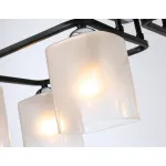Светильник потолочный TR303224/6 BK/CH/FR черный/хром/белый матовый E27*6 max 60W 615*390*220 от NovaLamp
