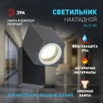 Светильник на штанге Эра WL37 GR Б0054409 от ImperiumLoft