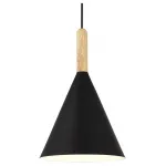 Подвесной светильник EVOLUCE Arket SLE1255-403-01 от ImperiumLoft