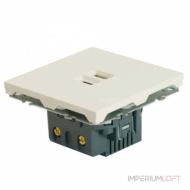Розетка USB и type C без рамки Stekker RST10-5115-01 49879