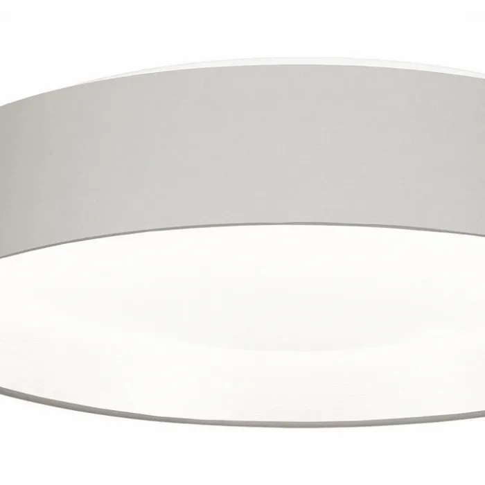 Накладной светильник EVOLUCE Brescia SLE300512-01 от ImperiumLoft
