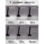Настольная лампа офисная Citilux Ньютон CL803081 от ImperiumLoft
