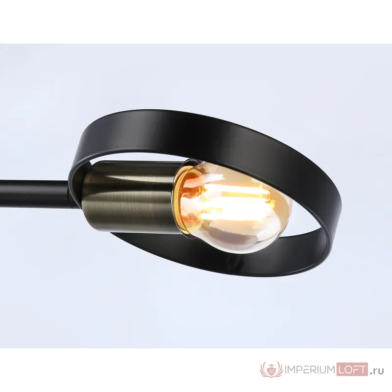 Подвесной светильник со сменной лампой TR8225/2 BK/SB черный/бронза E27/2 max 40W 510*165*190 от NovaLamp