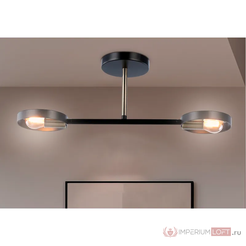 Подвесной светильник со сменной лампой TR8225/2 BK/SB черный/бронза E27/2 max 40W 510*165*190 от NovaLamp