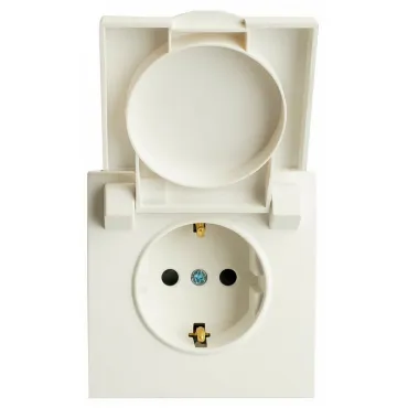 Розетка без заземления и со шторкой без рамки с крышкой Stekker RST16-5112-01 49881 Розетка без заземления и со шторкой без рамки с крышкой Stekker RST16-5112-01 49881