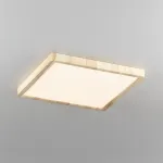 Накладной светильник Citilux Бейсик CL738K242V