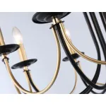 Подвесная люстра со сменной лампой TR9622/8 BK/CGD черный/золото E14/8 max 40W D700*450 от NovaLamp