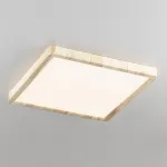 Накладной светильник Citilux Бейсик CL738K242V