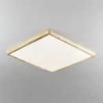 Накладной светильник Citilux Бейсик CL738K502V