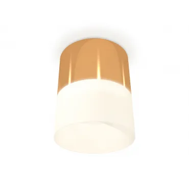 Комплект накладного светильника с акрилом XS8121011 PYG/FR золото желтое полированное/белый матовый GX53 (C8121, N8402)